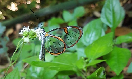 Imagens Soberano Tour - Passeios aquaviários - Greta Oto