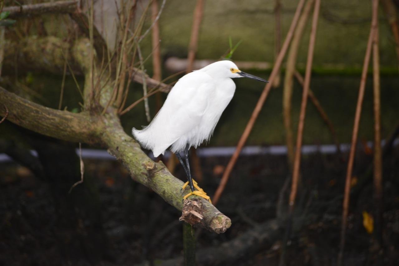 Soberano Tour - Passeios 01