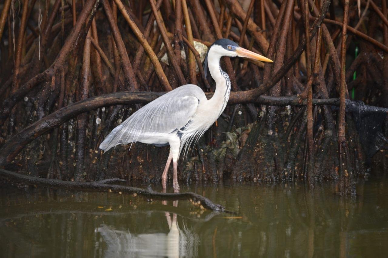 Soberano Tour - Passeios 02
