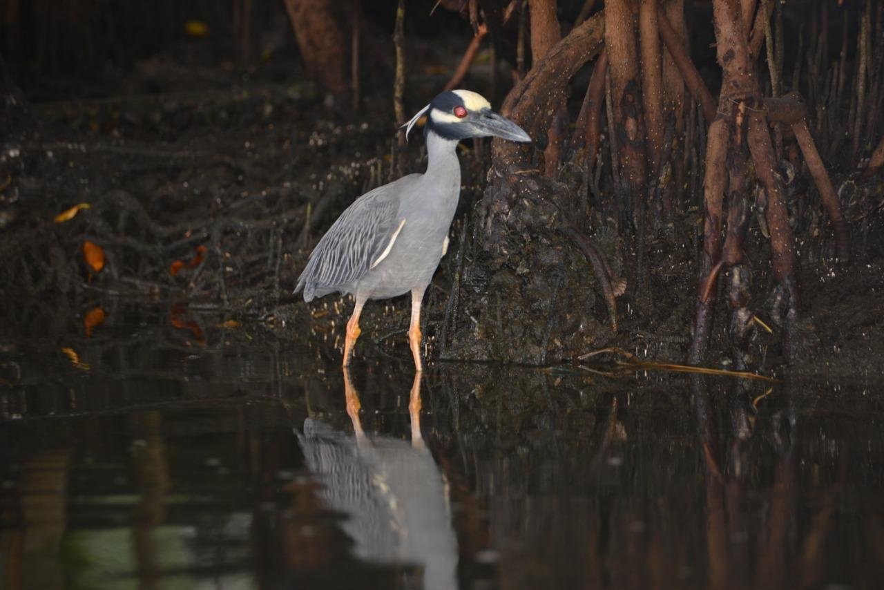 Soberano Tour - Passeios 03